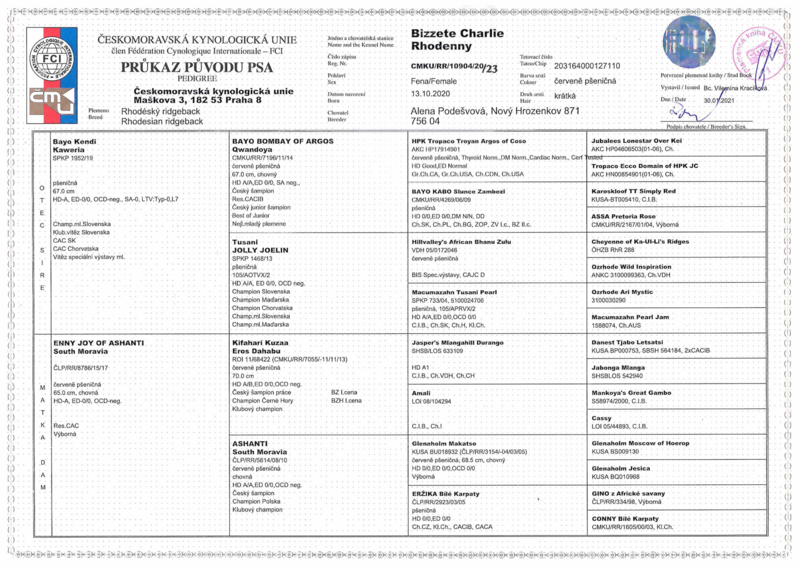Průkaz psa Bizzete Charlie