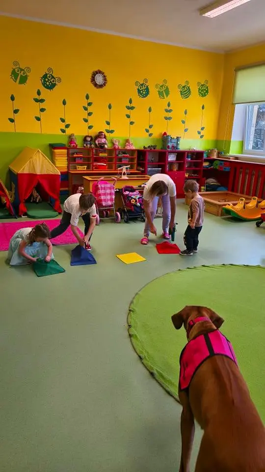 Bizzete canisterapie