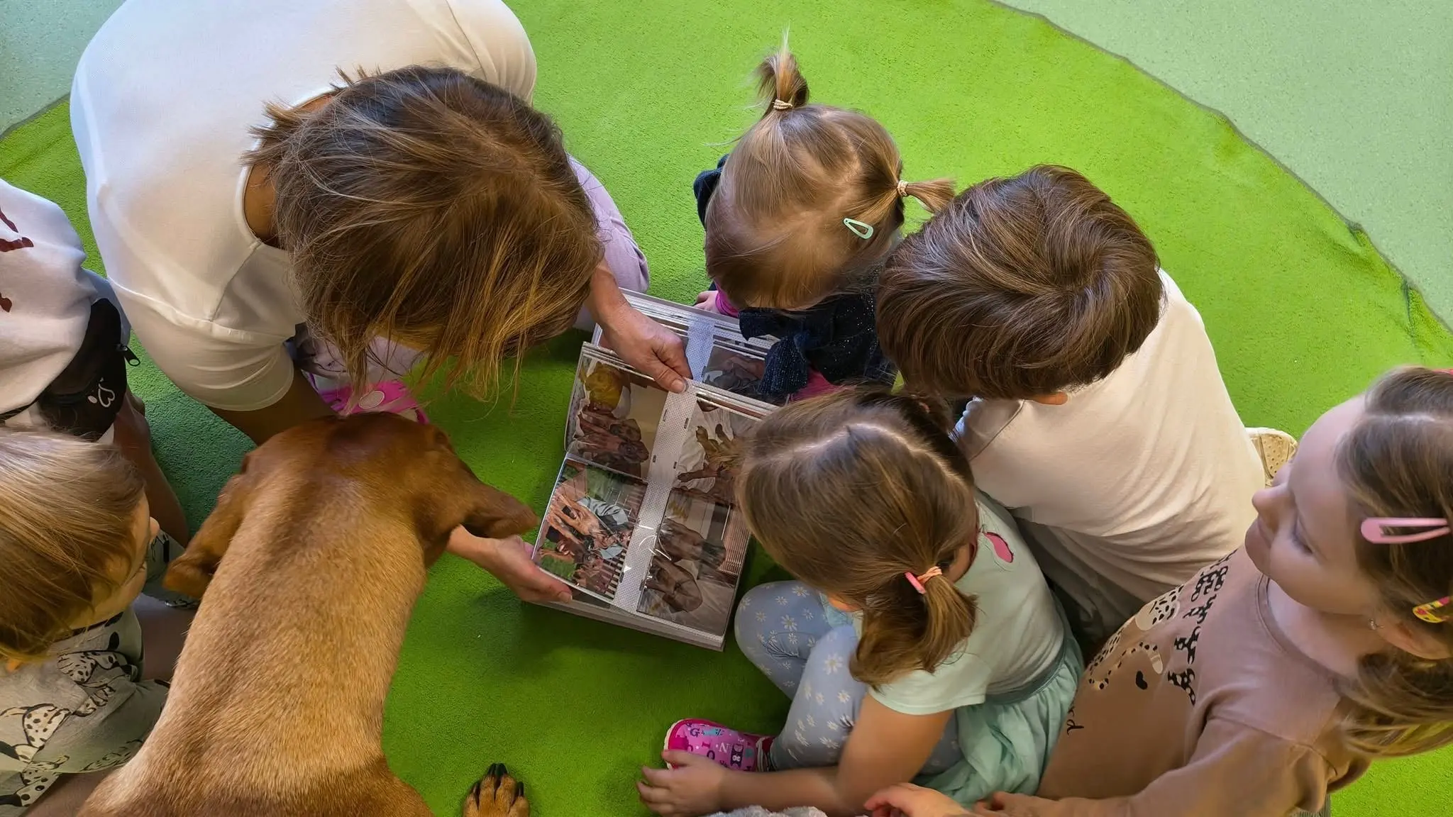 Bizzete canisterapie