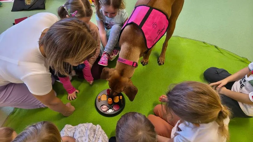 Bizzete canisterapie