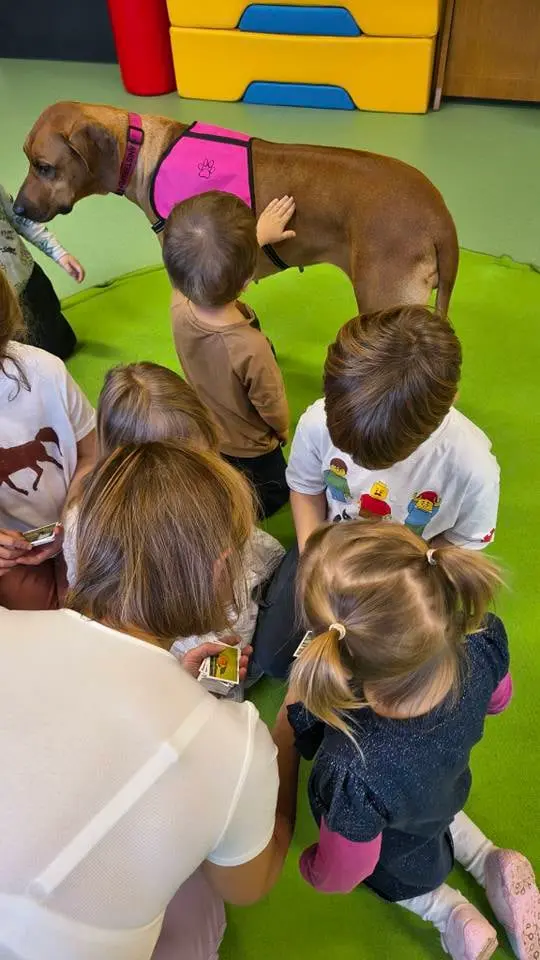 Bizzete canisterapie