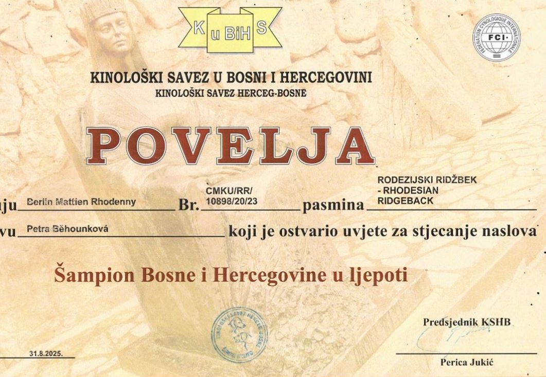 Bonitace Berlin Mattien Rhodenny