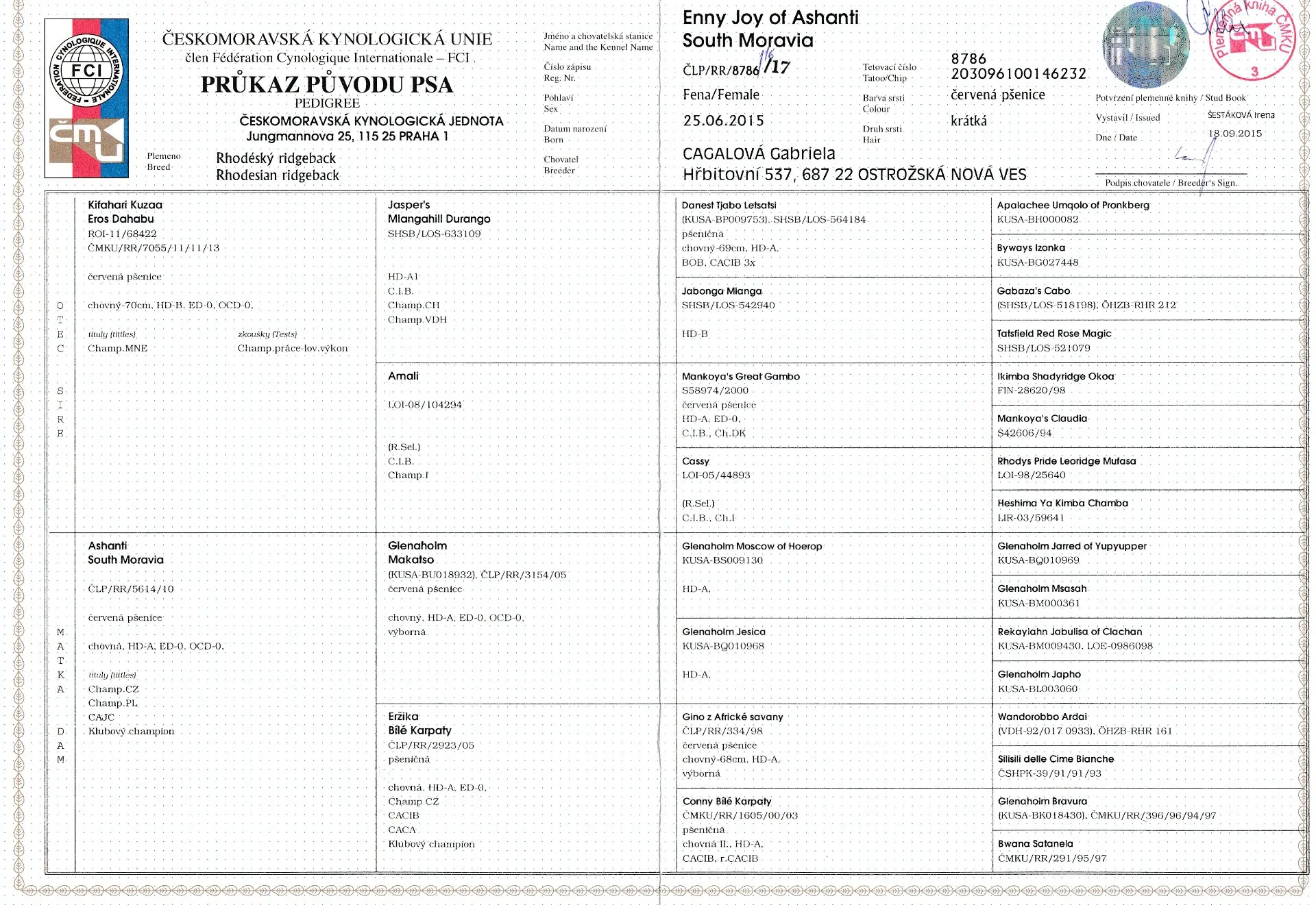  Průkaz psa Enny joy of Ashanti South Moravia