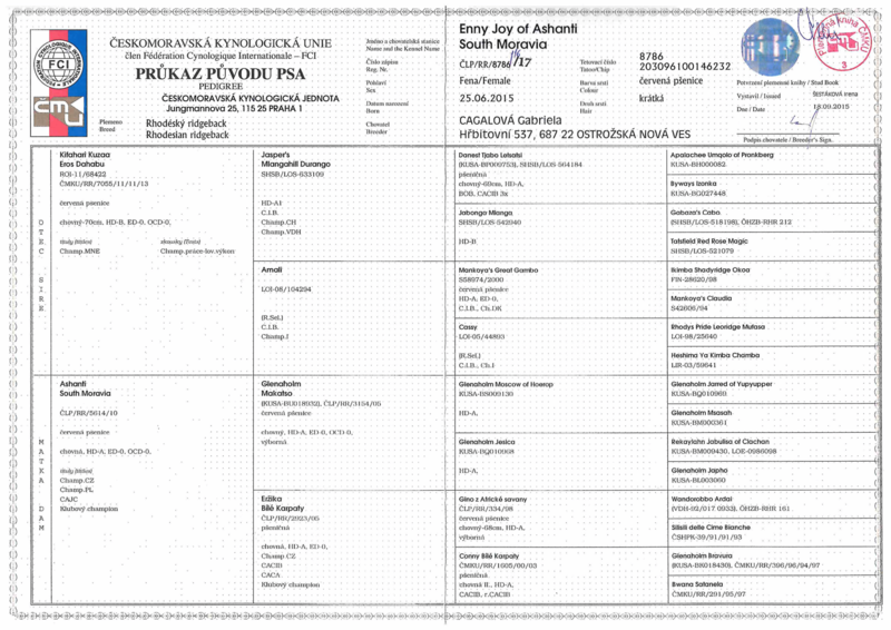 Průkaz psa - Enny Joy of Ashanti South Moravia