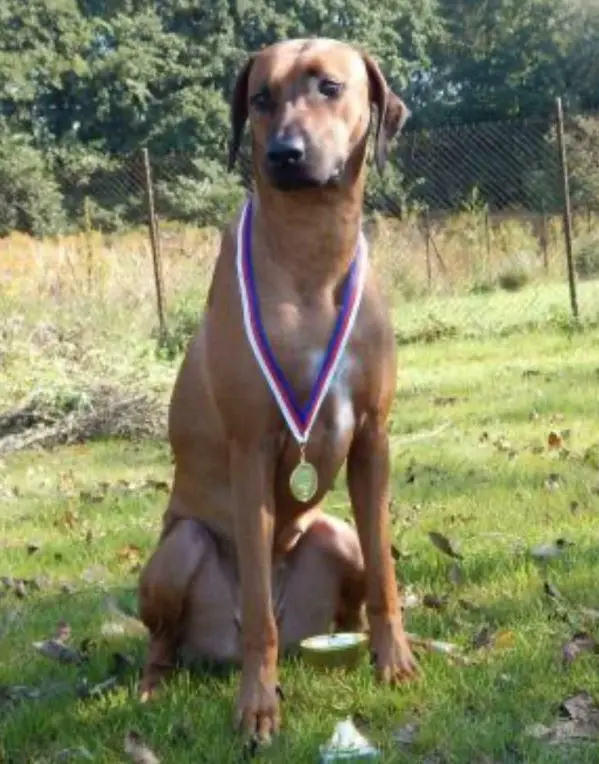 Elisa Kira Jayne by Silamja