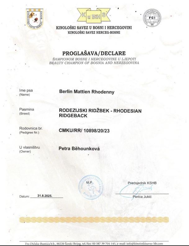 Bonitace Berlin Mattien Rhodenny