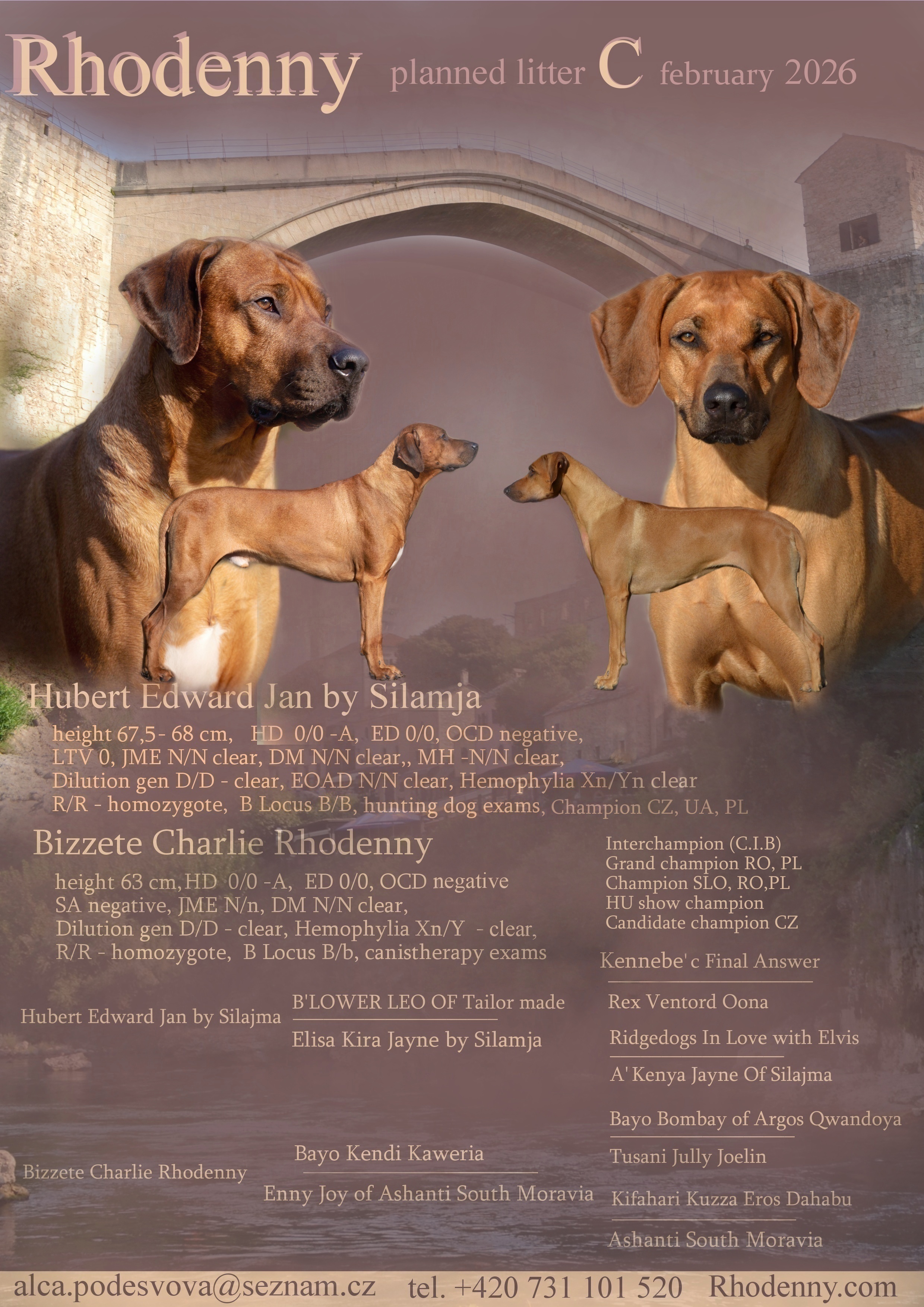 Rhodenny Vrh C plakát