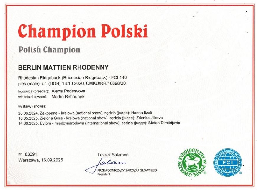 Bonitace Berlin Mattien Rhodenny